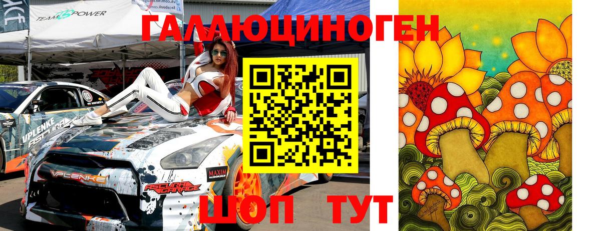 Псилоцибиновые грибы Psilocybe Сатка